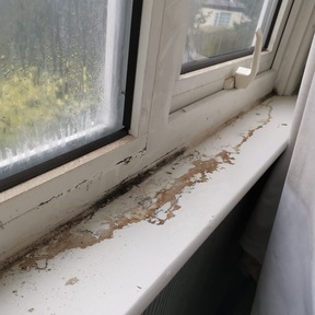 Deep Cleaning Willesden NW2